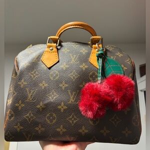 Louis Vuitton Speedy 25 Vintage Handbag!